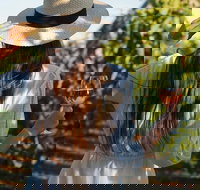 7 Hour Full Day Tour Morning Tea Chocolate Olives 3 Wineries  Lunch - Perths Hotel