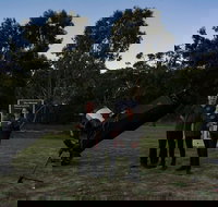 Dusk to Dawn Astronomy Margaret River - Perths Hotel