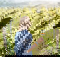5 Hours Wineries Coffee Tasting Forest  Lunch at the Berry Farm - Perths Hotel