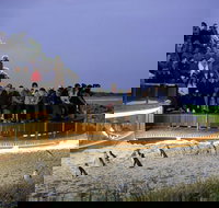 1 Day Private Phillip Island Tour VIP Charter up to 9 People - Perths Hotel