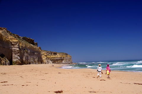 Great Ocean Road Day Trip: Twelve Apostles, Loch Ard Gorge And Apollo Bay - Perths Hotel 1