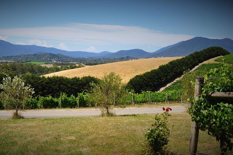 Romantic Private Yarra Valley Day Trip For Two From Melbourne - Perths Hotel 0