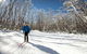 Lake Mountain Snow Trip Including Yarra Valley Chocolaterie From Melbourne - thumb 7