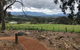 Yarra Valley Wine Tour Inc Lunch With A Glass Of Wine, Tastings And Chocolate - thumb 9