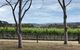Yarra Valley Wine Tour Inc Lunch With A Glass Of Wine, Tastings And Chocolate - thumb 11