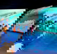 Phillip Island Antarctic Journey Entry ticket - Perths Hotel