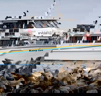 Phillip Island Seal-Watching Cruise - Perths Hotel