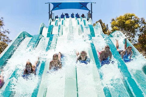 Adventure Park Geelong: General Admission Ticket - Perths Hotel 1