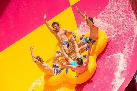 Adventure Park Geelong: General Admission Ticket - Perths Hotel 0