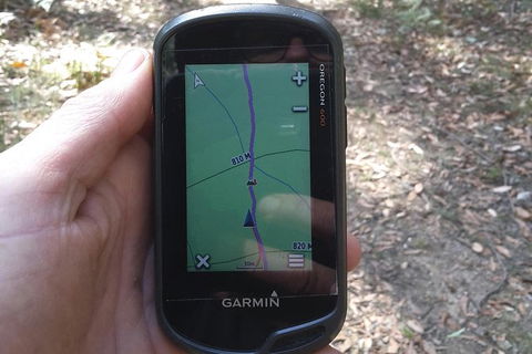 GPS Guided Walks In The Daylesford Forest - Perths Hotel 0