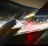 Phillip Island Private Tour - Perths Hotel