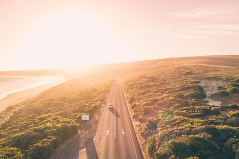 Private Great Ocean Road Express Tour (9 Hour Tour) - Perths Hotel 10