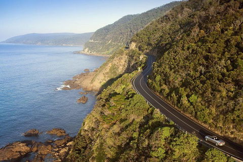 Ultimate Reverse Direction - 12 Apostles, Great Ocean Road - Small Group Tour - Perths Hotel 10