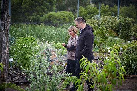 Guided Edible Forest Tour - Perths Hotel 1