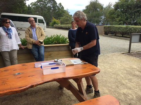 Bruny Island All Inclusive Gourmet Day Trip From Hobart - Perths Hotel 17