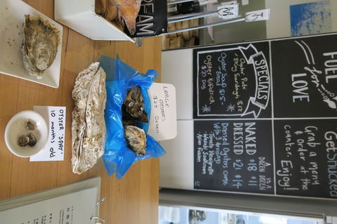 Bruny Island All Inclusive Gourmet Day Trip From Hobart - Perths Hotel 12