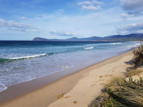 Bruny Island All Inclusive Gourmet Day Trip From Hobart - Perths Hotel 6