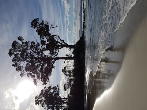 Bruny Island All Inclusive Gourmet Day Trip From Hobart - Perths Hotel 5