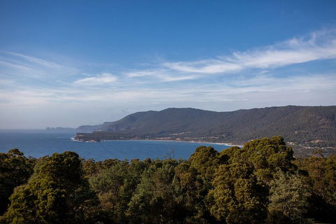 Port Arthur And Tassie Devils Active Day Tour From Hobart - Perths Hotel 4