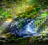 Day Tour in Mt. Field Mt. Wellington Bonorong Wildlife Sanctuary and Richmond - Perths Hotel