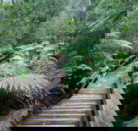 Small-group DayTour from Hobart Hastings Caves Huon Valley and Tahune AirWalk - Perths Hotel