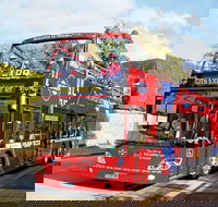 Hobart Hop-on Hop-off Bus Tour - Perths Hotel