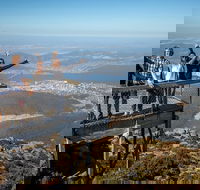 Mt Field National Park Active Day-Trip Including Bonorong and Mt Wellington - Perths Hotel