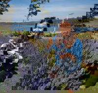 Port Arthur and Lavender Farm Active Day Tour - Perths Hotel