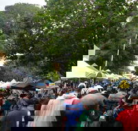 Hobart Half-Day Sightseeing Coach Tram Tour - Perths Hotel