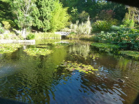 Hobart Half-Day Sightseeing Coach Tram Tour - Perths Hotel 14