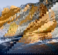 Full-Day Tasman Peninsula Tour from Hobart - Perths Hotel