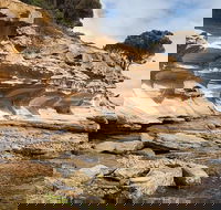 Maria Island premium private photo-oriented day tour from Hobart - Perths Hotel