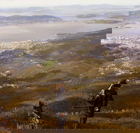 Mt Wellington Half Day Guided Summit Hike - Perths Hotel