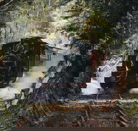 West Coast Wilderness Railway River and Rainforest from Strahan - Perths Hotel