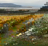 Mona and Wine Experience Tour - Perths Hotel