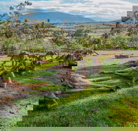 Shore Excursion Hobart's Best In Half A Day - Perths Hotel