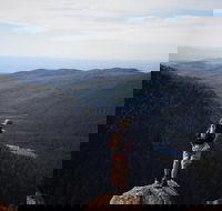 Mount Field National Park - Tarn Shelf  Russell Falls - Guided Hiking Tour - Perths Hotel