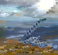 Half-Day Mt Wellington Summit Tour from Hobart - Perths Hotel