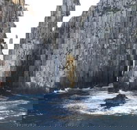 Day Trip to Tasman Peninsula and Port Arthur Historic Site from Hobart - Perths Hotel