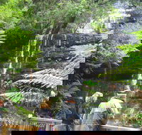 Mt Field National Park and Russell Falls from Hobart - Perths Hotel