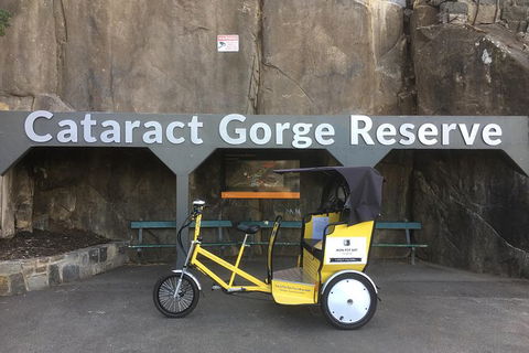 Launceston Cataract Gorge - Twilight, Wildlife, Local History Walking Tour. - Perths Hotel 0
