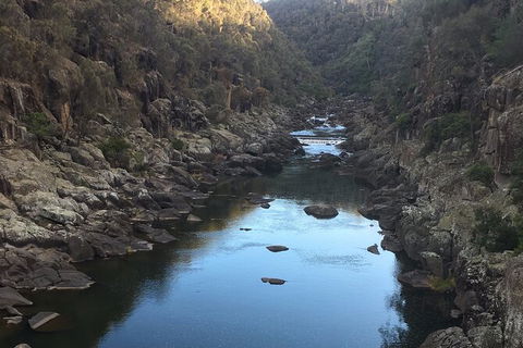 Launceston Cataract Gorge - Twilight, Wildlife, Local History Walking Tour. - Perths Hotel 2