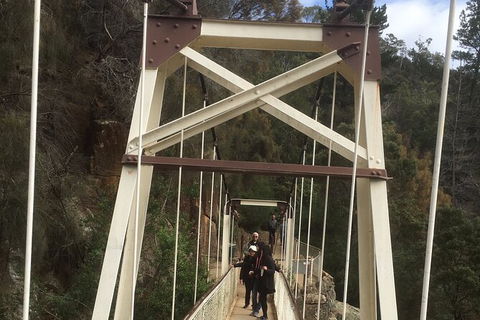 Launceston Cataract Gorge - Twilight, Wildlife, Local History Walking Tour. - Perths Hotel 3