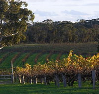 Barossa Valley with Hahndorf Tour from Adelaide - Perths Hotel