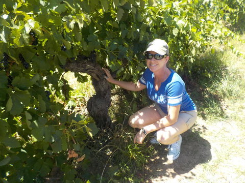 Barossa Valley Wineries Tour With Tastings And Lunch From Adelaide - Perths Hotel 11