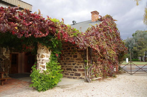 Barossa Valley Wineries Tour With Tastings And Lunch From Adelaide - Perths Hotel 3