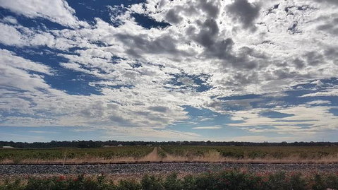 Barossa Valley Full-Day Tour From Adelaide With Maggie Beer Farm - Perths Hotel 3