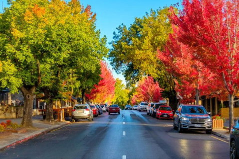 Barossa Valley Full-Day Tour From Adelaide With Maggie Beer Farm - Perths Hotel 6