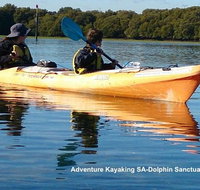 Adelaide Dolphin Sanctuary and Ships Graveyard Kayak Tour - Perths Hotel
