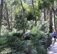 Self-Guided Waterfall Gully to Mount Lofty Hike from Adelaide - Perths Hotel
